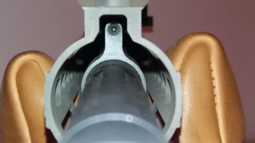 Hera Arms The 15th SRB AGS Gasblock