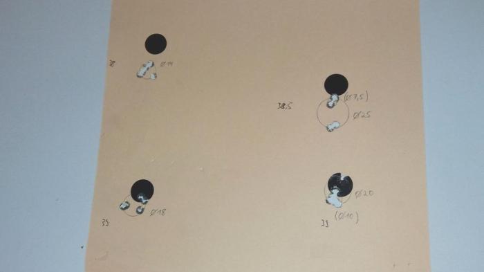 Schussbild Schwedenmauser 2