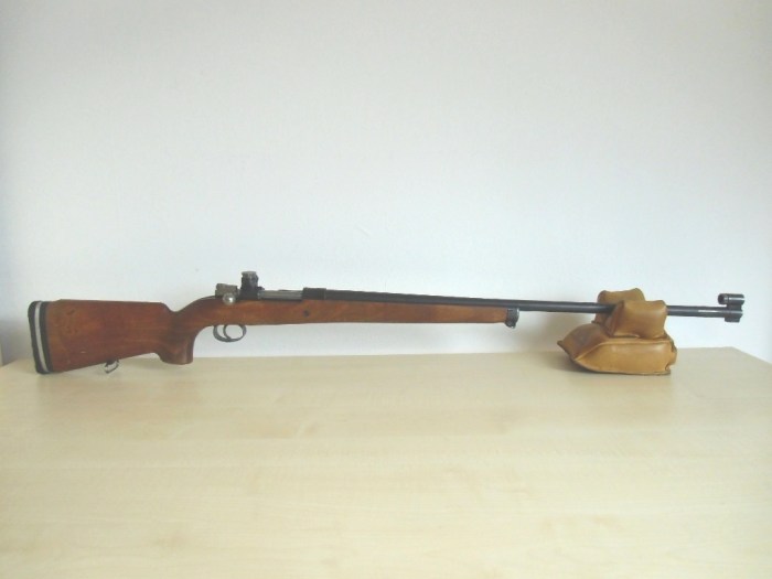 Schwedenmauser M63_01