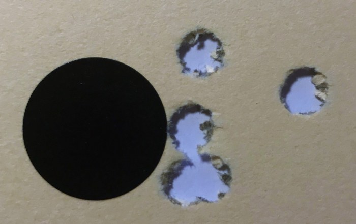 schwedenmauserrettung-20