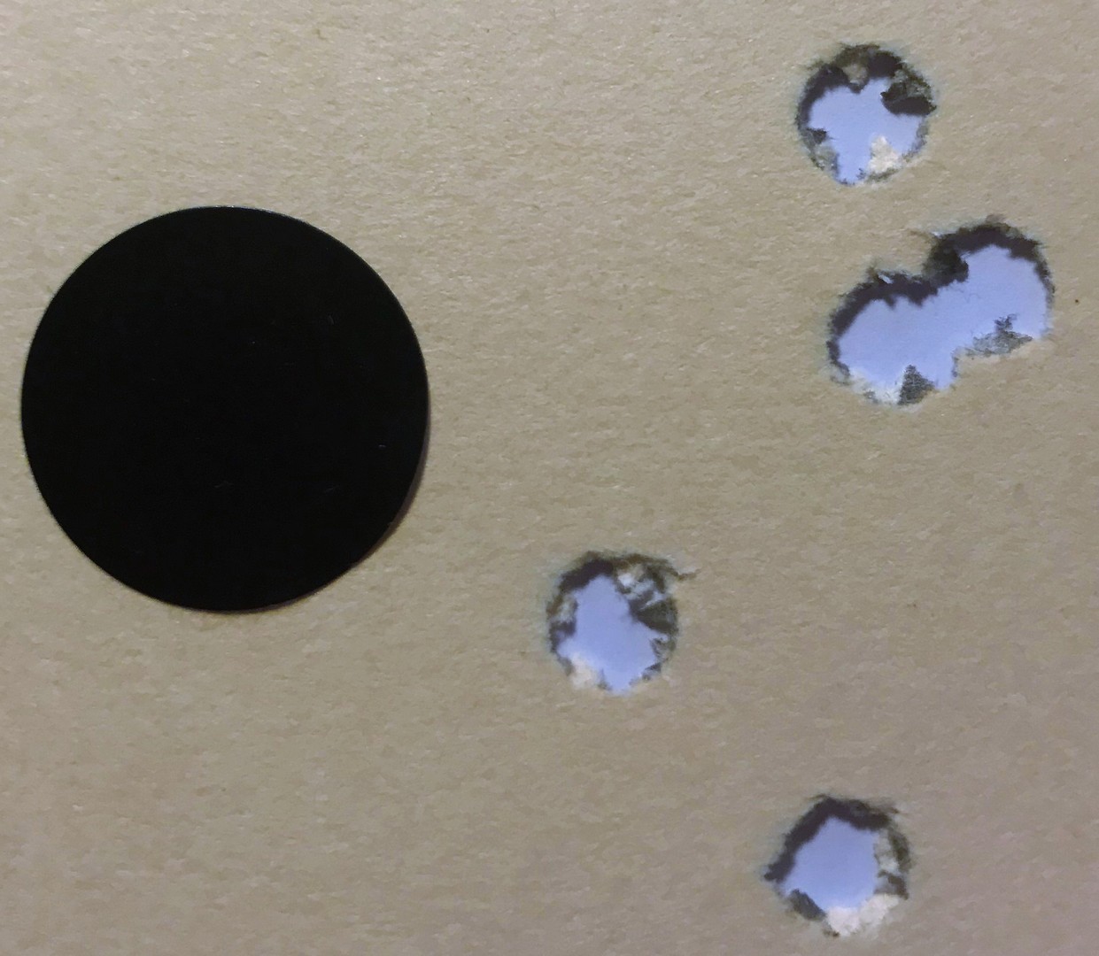 schwedenmauserrettung-22